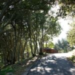 Coming up the driveway, approaching the guest house Paso Robles vacation rental