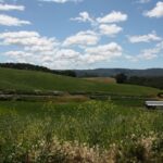Oakdale Ranch Guest House view Paso Robles vacation rental