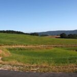 The view from our driveway Paso Robles vacation rental