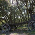 Our Western World Wagon! Paso Robles vacation rental