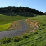 Coming up our driveway Paso Robles vacation rental