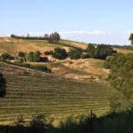 Our backyard Paso Robles vacation rental