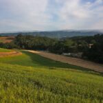 The view from our chairs Paso Robles vacation rental